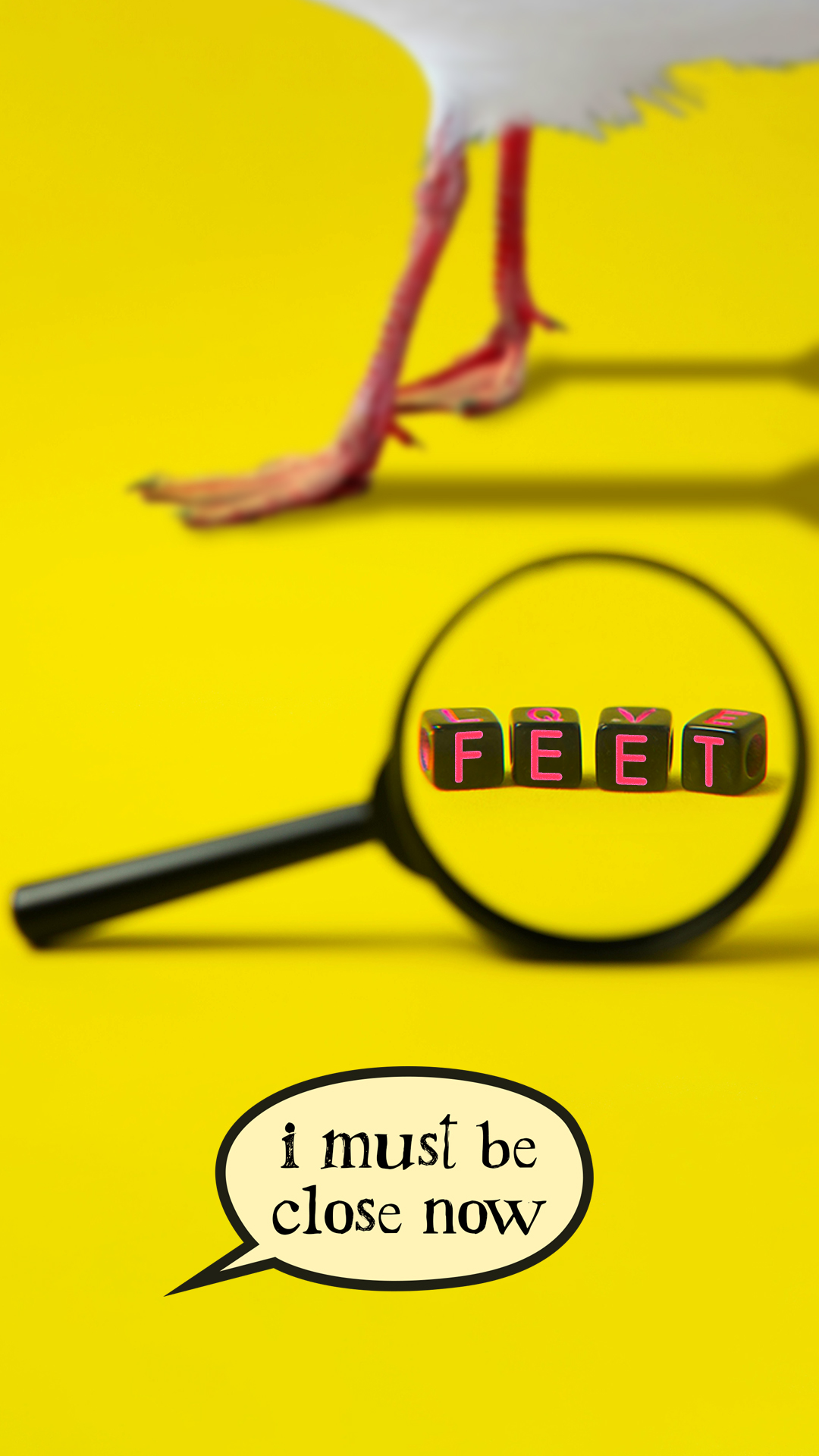 instagram reel frame
